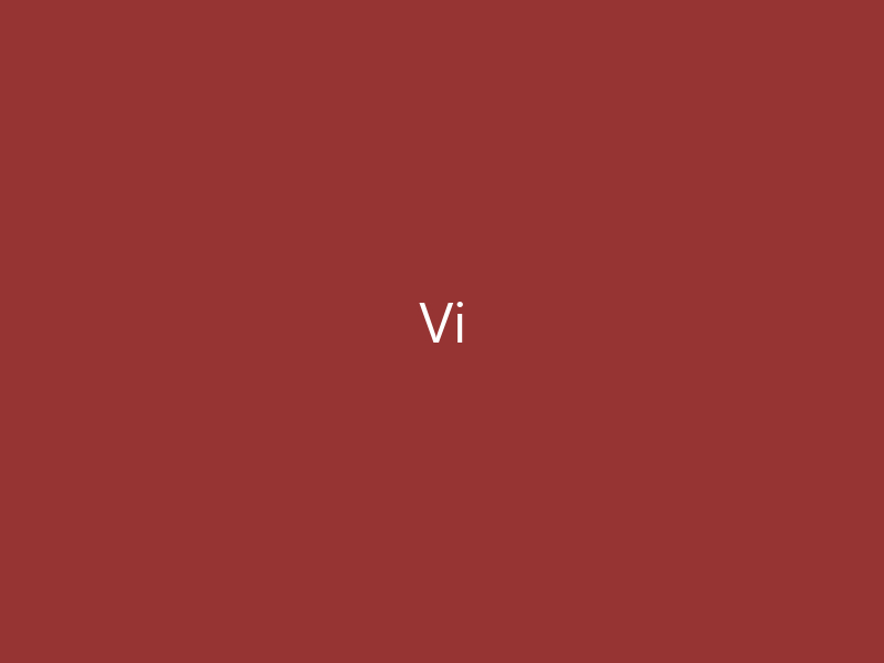 Vi
